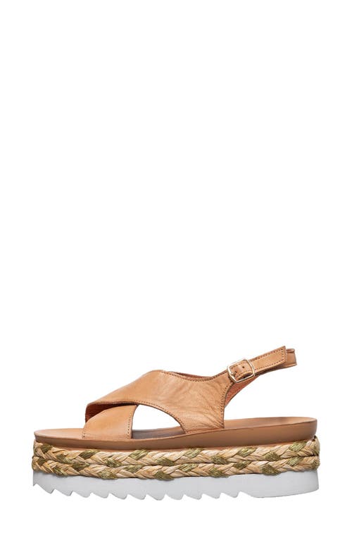 Antelope Abby Platform Sandal In Taupe