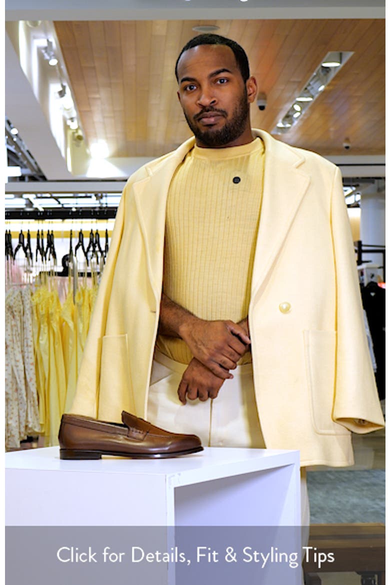 Mario Penny Loafer video