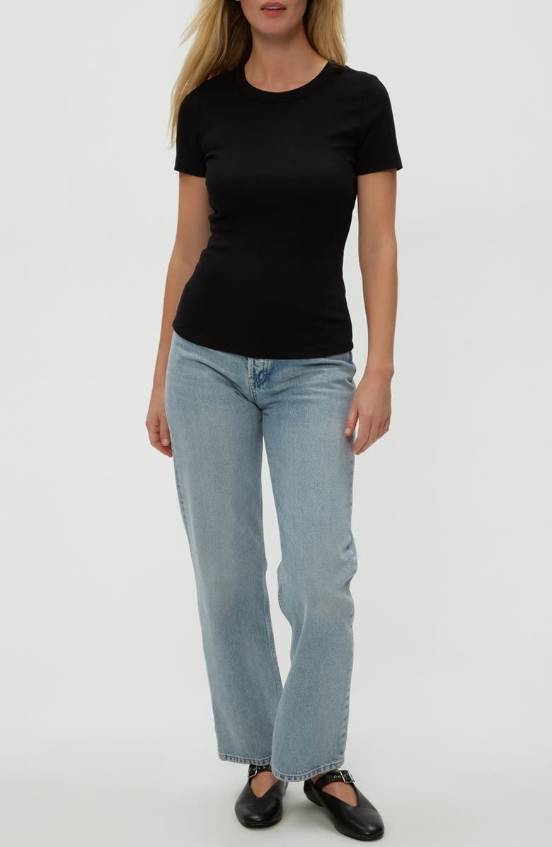 Michael Stars Rico Crewneck Strech Cotton Blend Rib T-Shirt, Alternate, color, Black