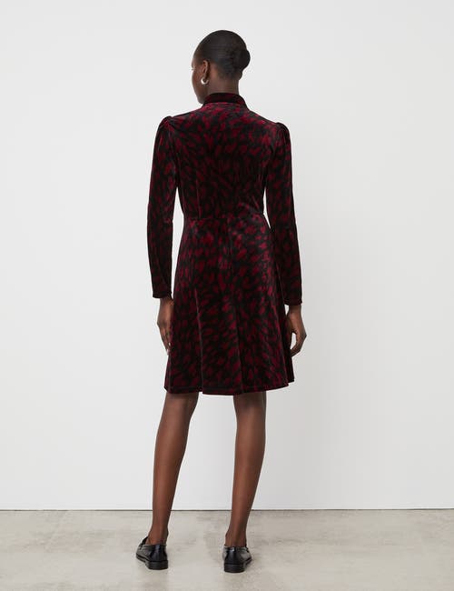 Finery London Capri Animal Print Knee Length Dress