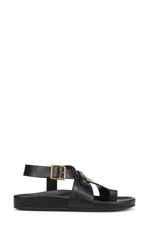Franco Sarto Blair Ankle Strap Platform Sandal In Black