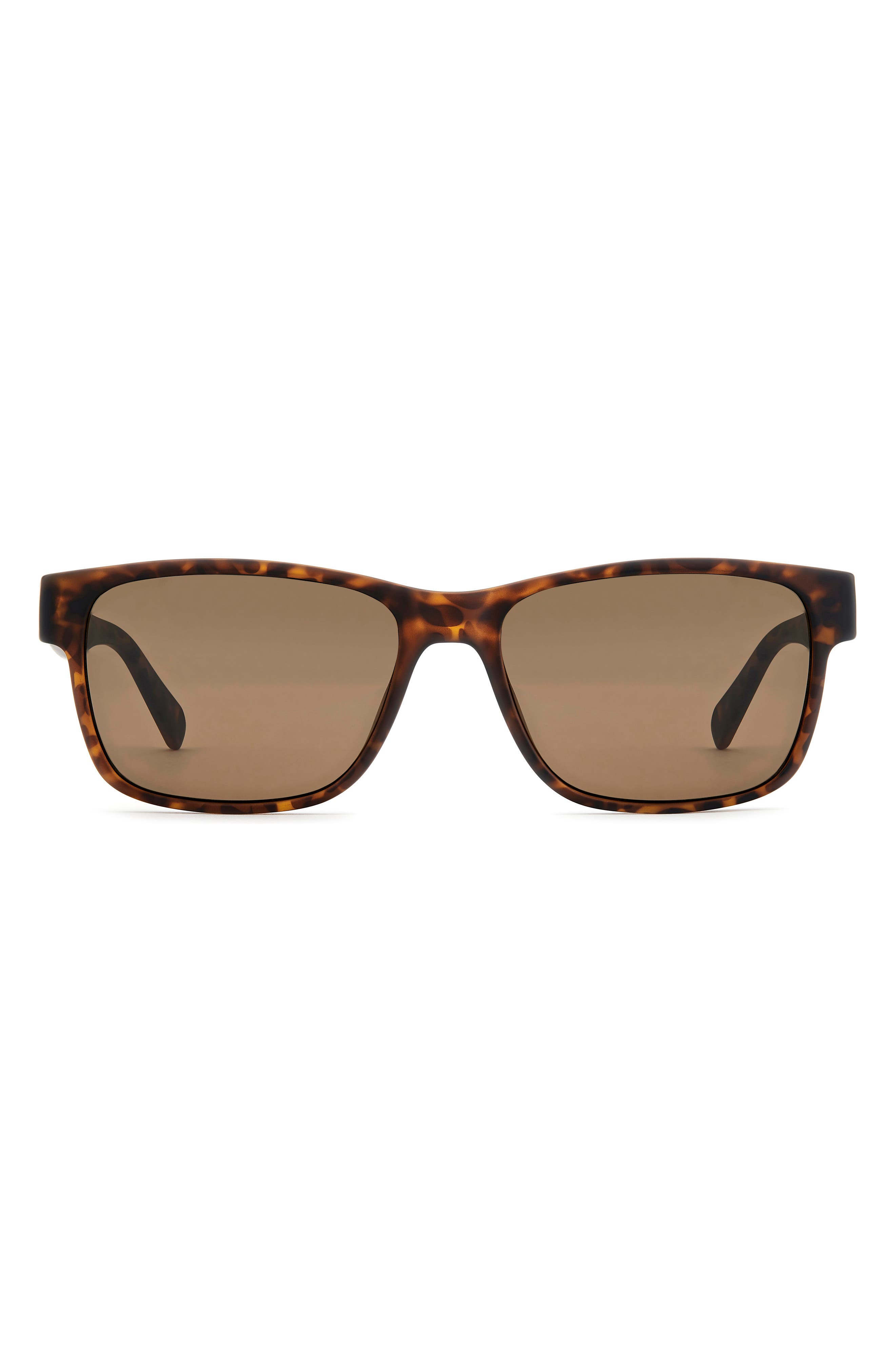 MATTE HAVANA/ BROWN
