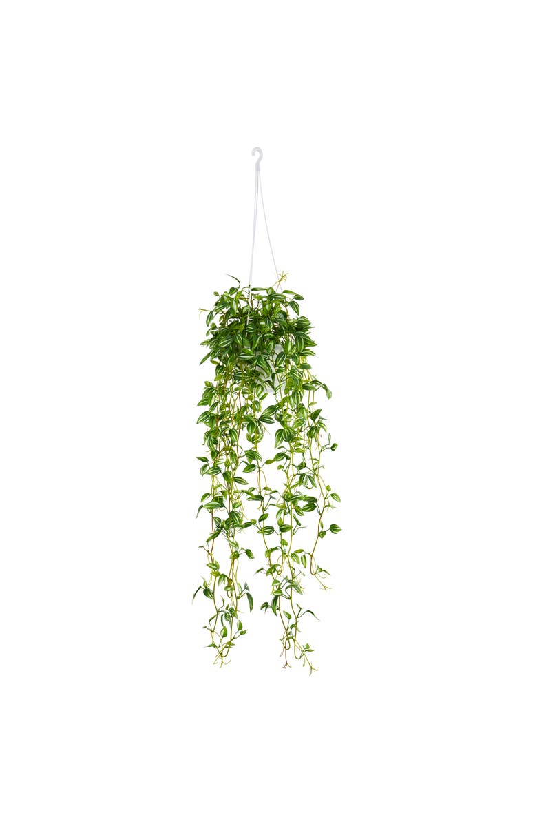 NEARLY NATURAL Green Variegated Wandering Jew Hanging Basket Artificial Plant, Main, color, Green