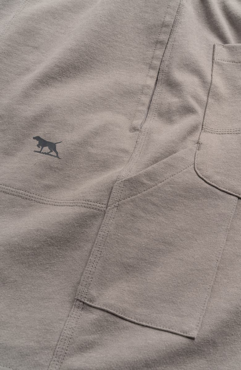 Rodd & Gunn Mount Holdsworth Cotton Shorts, Alternate, color, Fawn