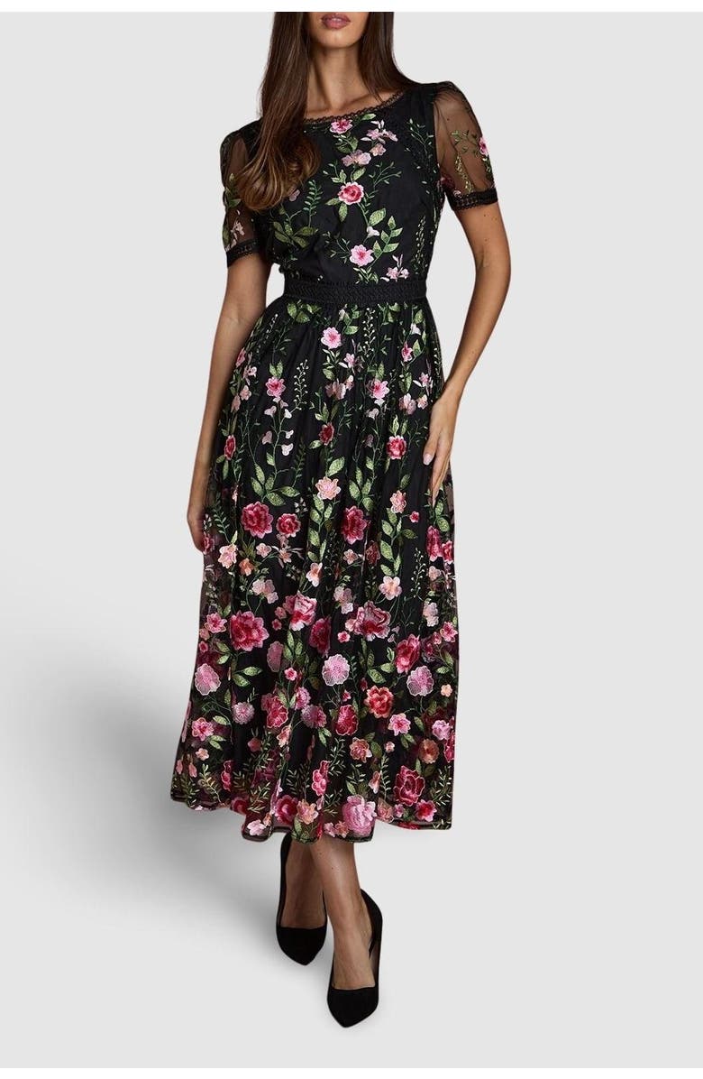 Coast Lace Trim Embroidered Mesh Midi Dress, Alternate, color, Black