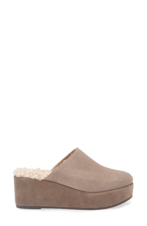 Cordani Camryn Platform Wedge Mule In Brown