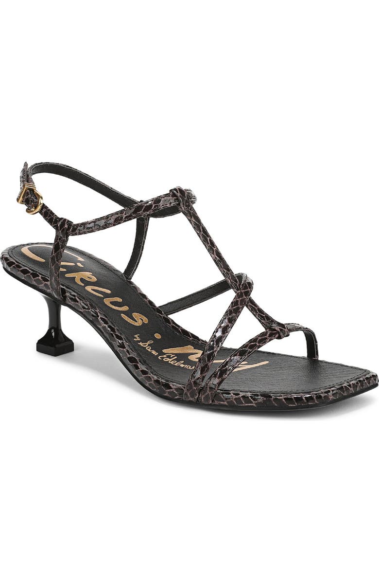 Circus NY by Sam Edelman Jaida Snakeskin Embossed Strappy Sandal, Main, color, Dark Chocolate/ Black