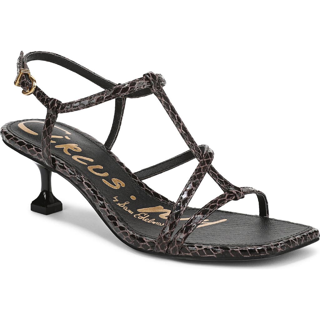 Circus Ny By Sam Edelman Jaida Snakeskin Embossed Strappy Sandal In Black