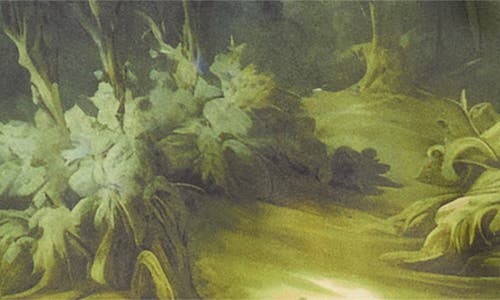 Kilo Brava Print Long Sleeve Sleep Shirt In Green