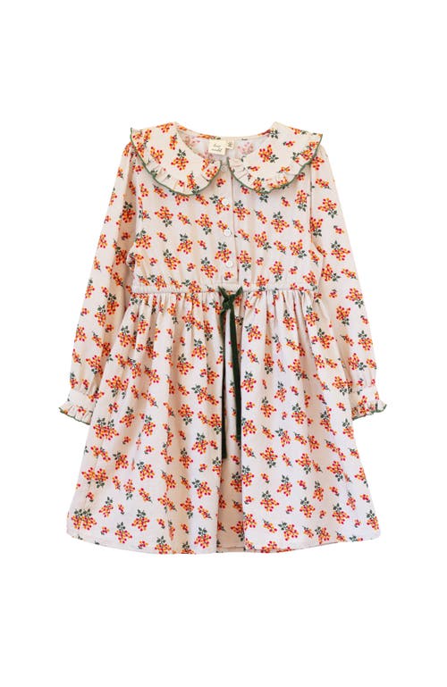 Beet World Little Kid Adelaide Velvet Tie Dress in Autumn Floral 