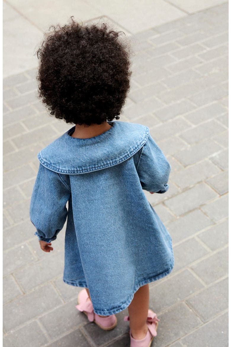 Kids' Dog Embroidered Denim Dress, Alternate, color, BLUE
