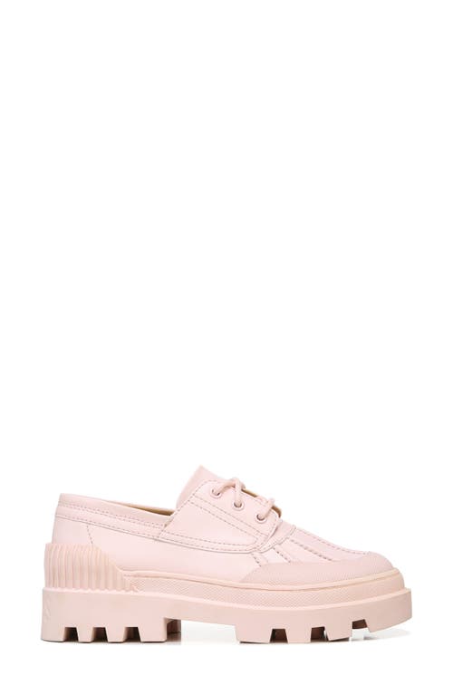 Circus Ny By Sam Edelman Circus By Sam Edelman Isa Sneaker In Ballet Pink