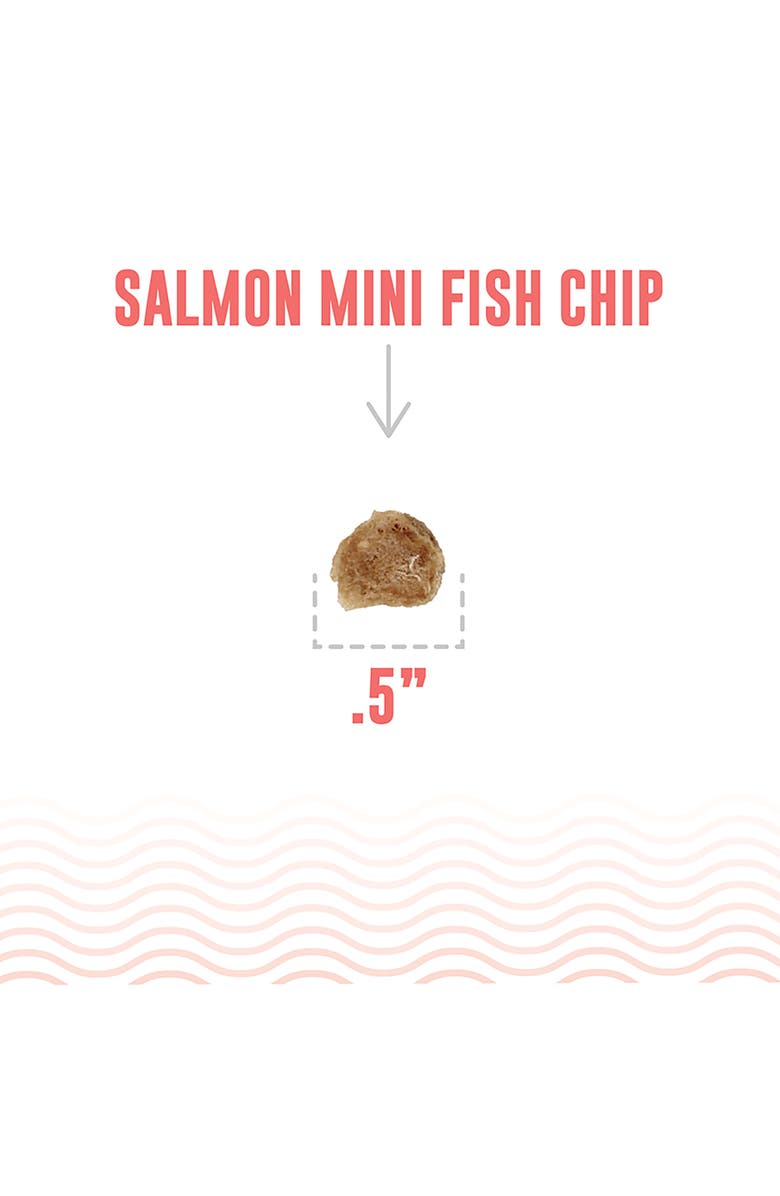 ICELANDIC+ Salmon 9Oz Dog Treats, For Training & Small Dogs, Alternate, color, Multicolored