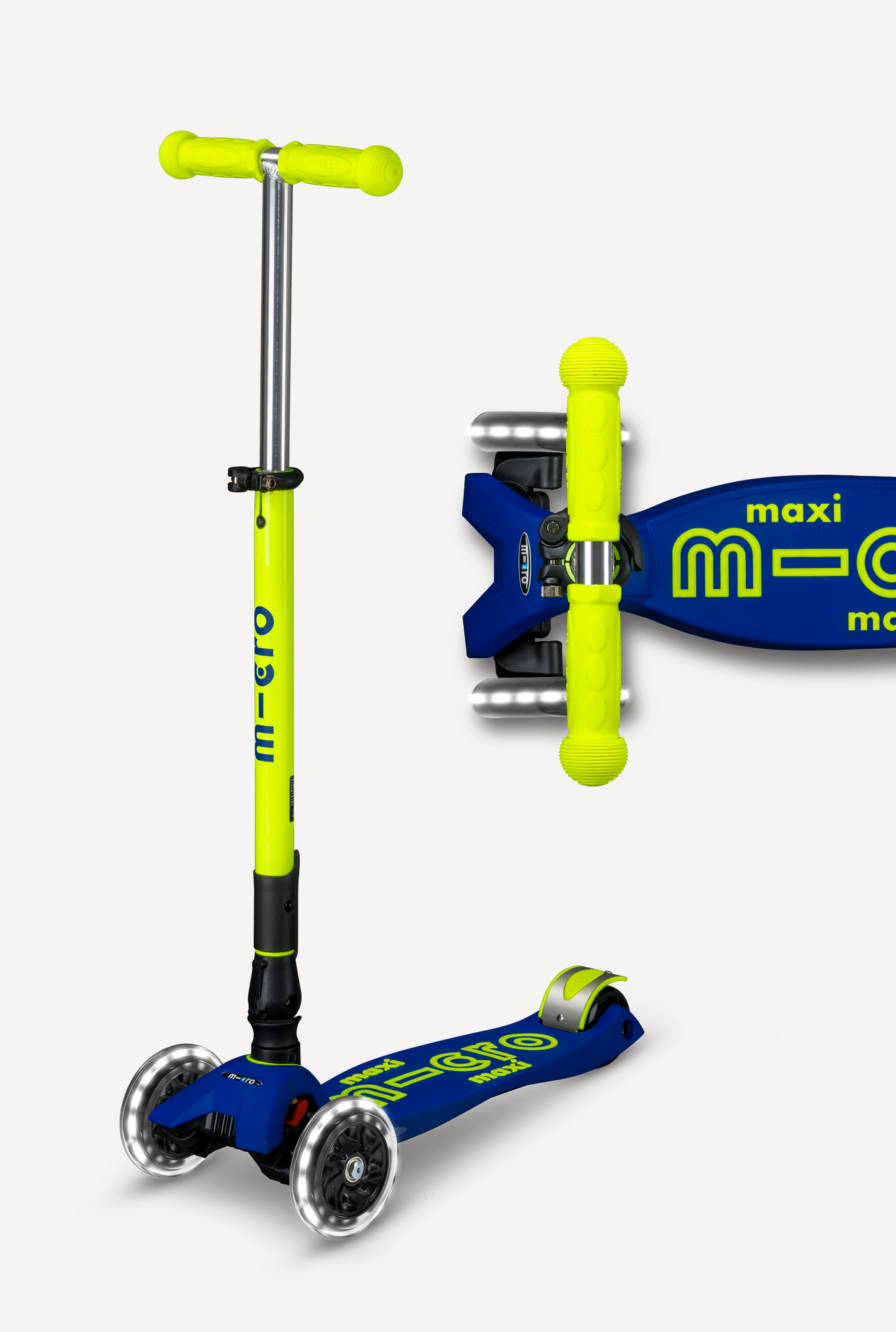 Canary Yellow/Blue
