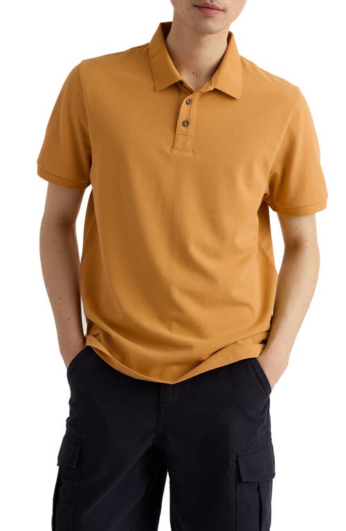 Seasalt Cornwall Balefire Organic Cotton Polo In Orange