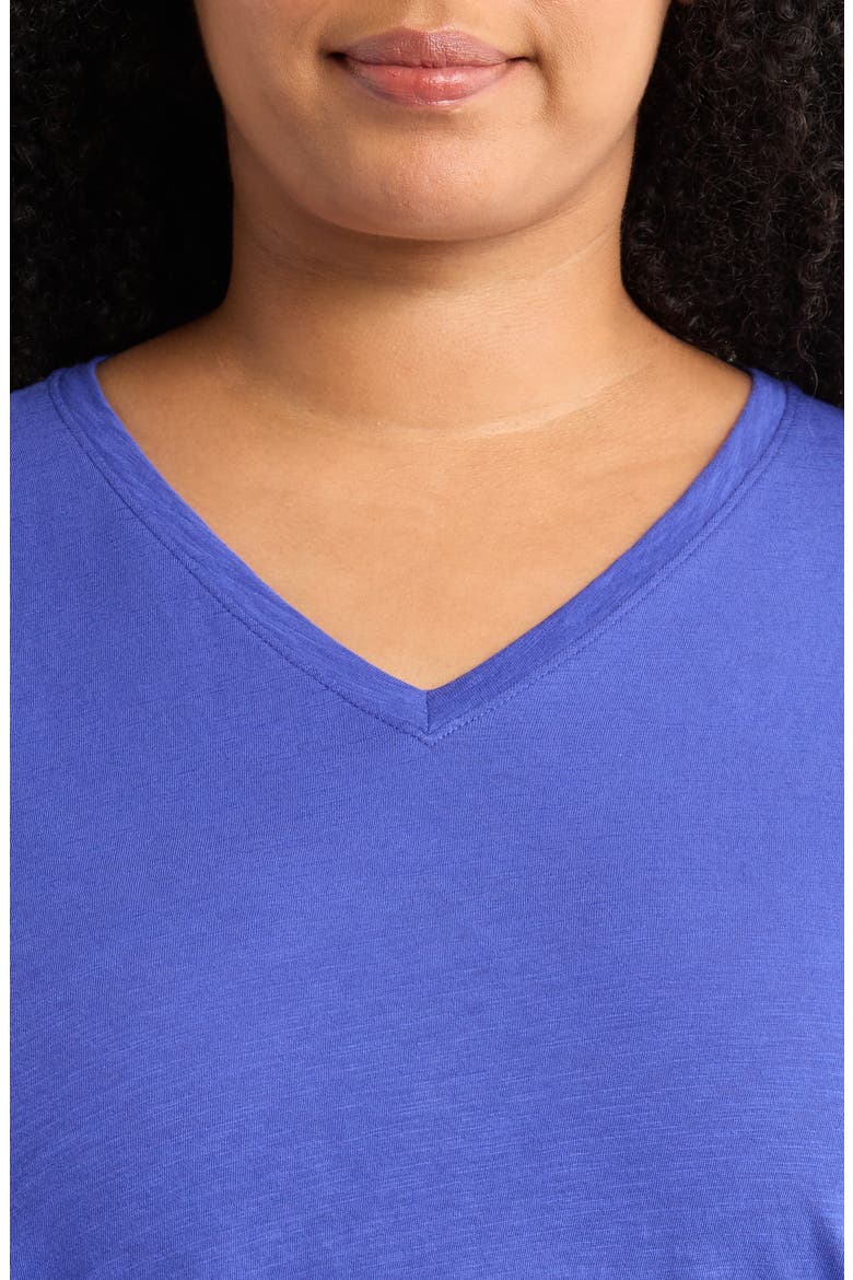 Easy V-Neck Organic Cotton Slub T-Shirt, Alternate, color, ROYAL