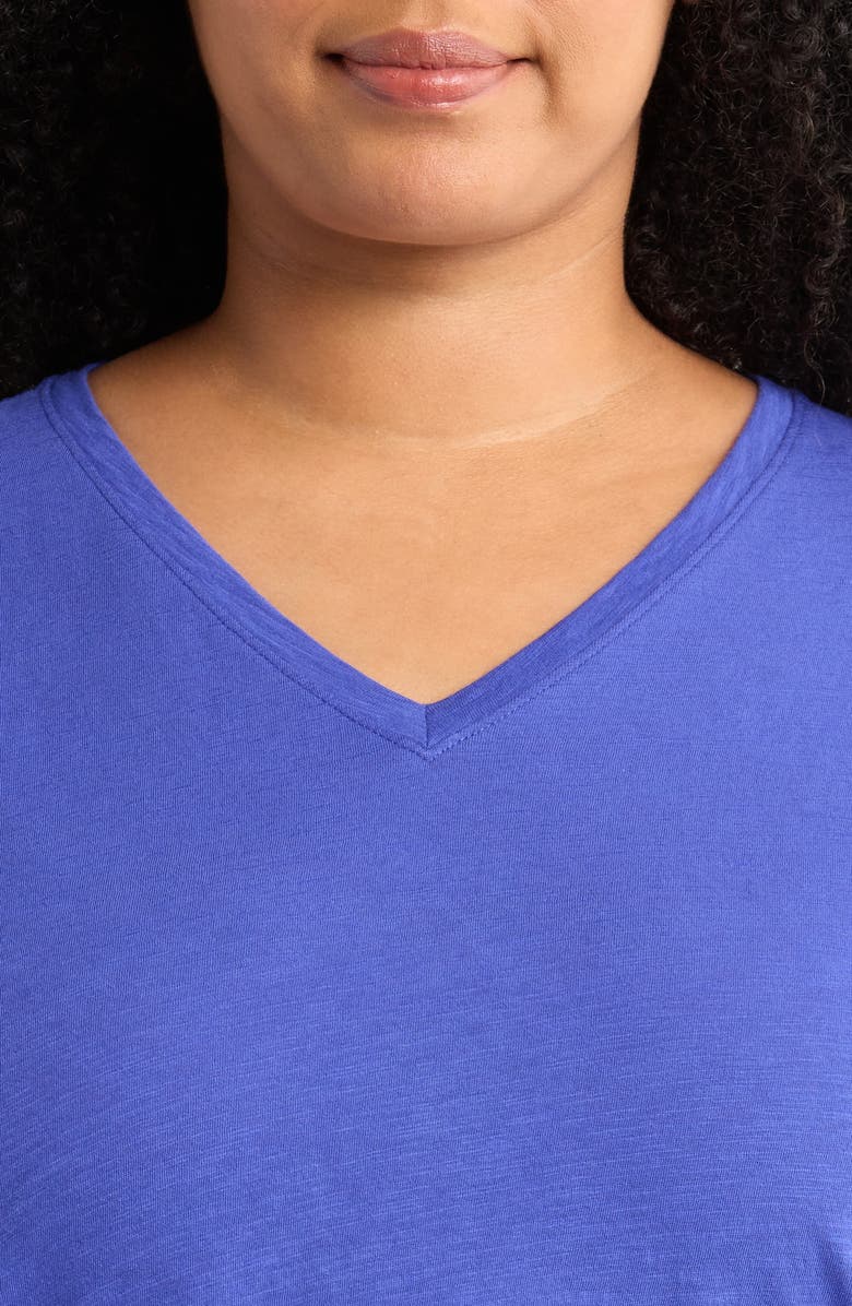 Eileen Fisher Easy V-Neck Organic Cotton Slub T-Shirt, Alternate, color, Royal