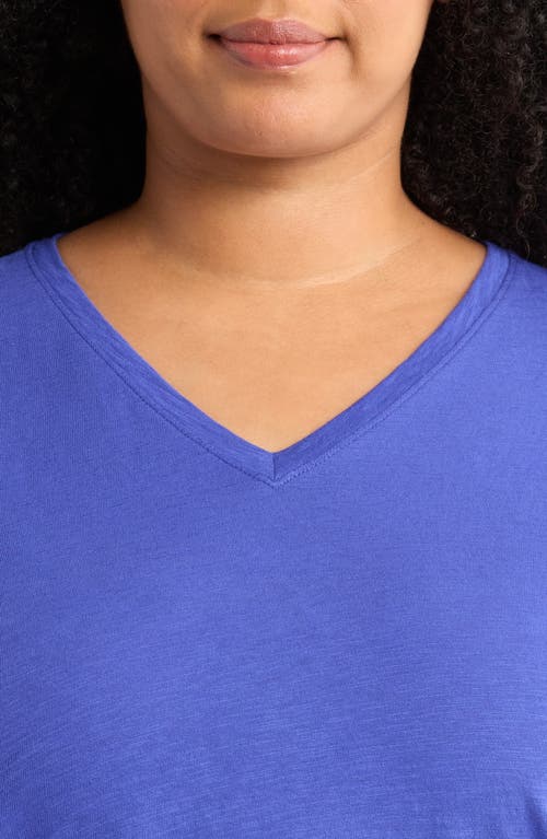 Eileen Fisher Easy V-neck Organic Cotton Slub T-shirt In Blue