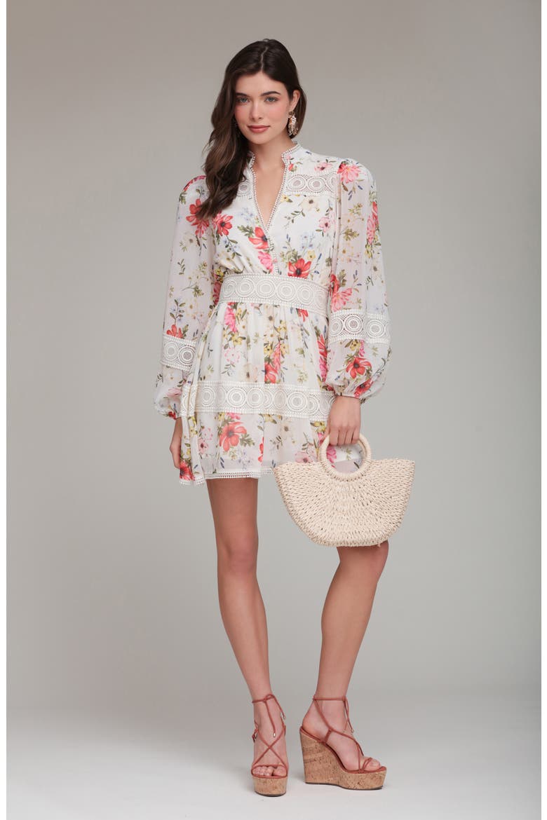 Floral Lace Detail Long Sleeve Minidress, Alternate, color, CREAM FLOWER PRESS
