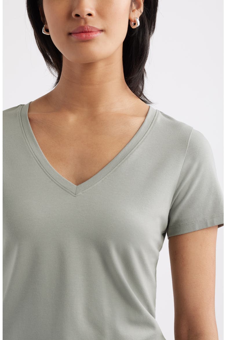 Everyday V-Neck Pima Cotton Blend T-Shirt, Alternate, color, GREEN CHAPARRAL