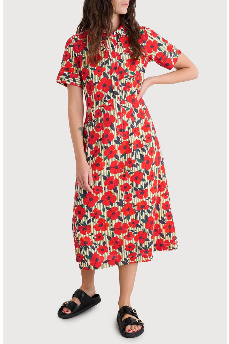 Birch Glade Floral Organic Cotton Midi Shirtdress, Main, color, STRIPEY FLORAL MOSS