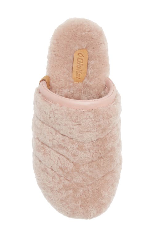 Olukai Pupu Mua Genuine Shearling Scuff Slipper In Pink