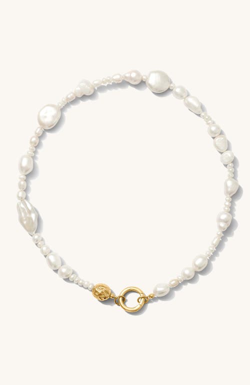 Beads by Tara Sirena Pearl Necklace in Freshwater Pearl at Nordstrom