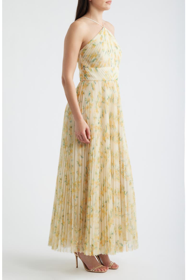 Blaine Pleated Gown, Alternate, color, IVORY / YELLOW