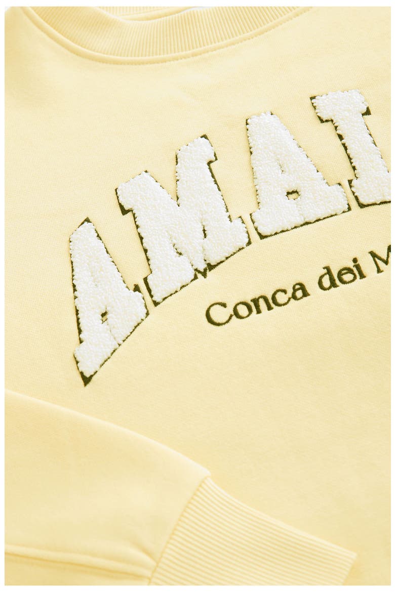 Bouclé Amalfi Graphic Sweatshirt, Alternate, color, NEUTRAL