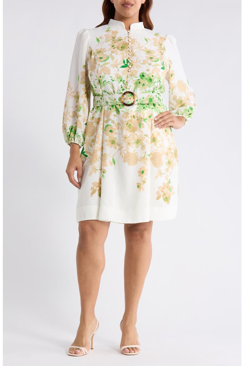 Placed Floral Long Sleeve Dress, Main, color, IVORY FERN