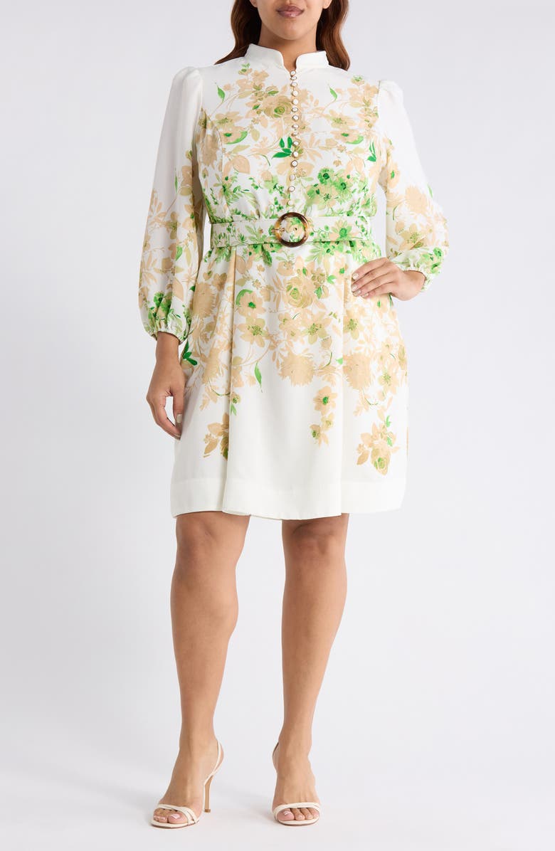 Tahari ASL Placed Floral Long Sleeve Dress, Main, color, Ivory Fern