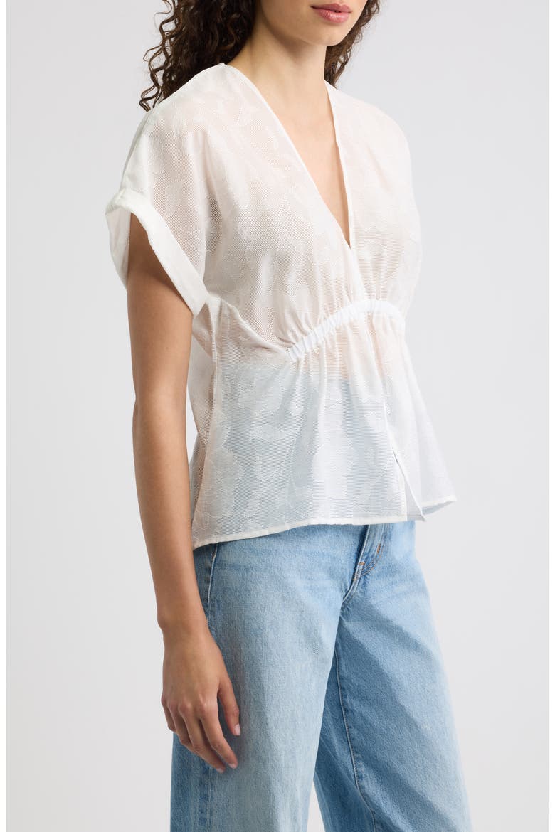 Sheer Floral Short Sleeve V-Neck Top, Alternate, color, SHEER ETCHED FLORAL