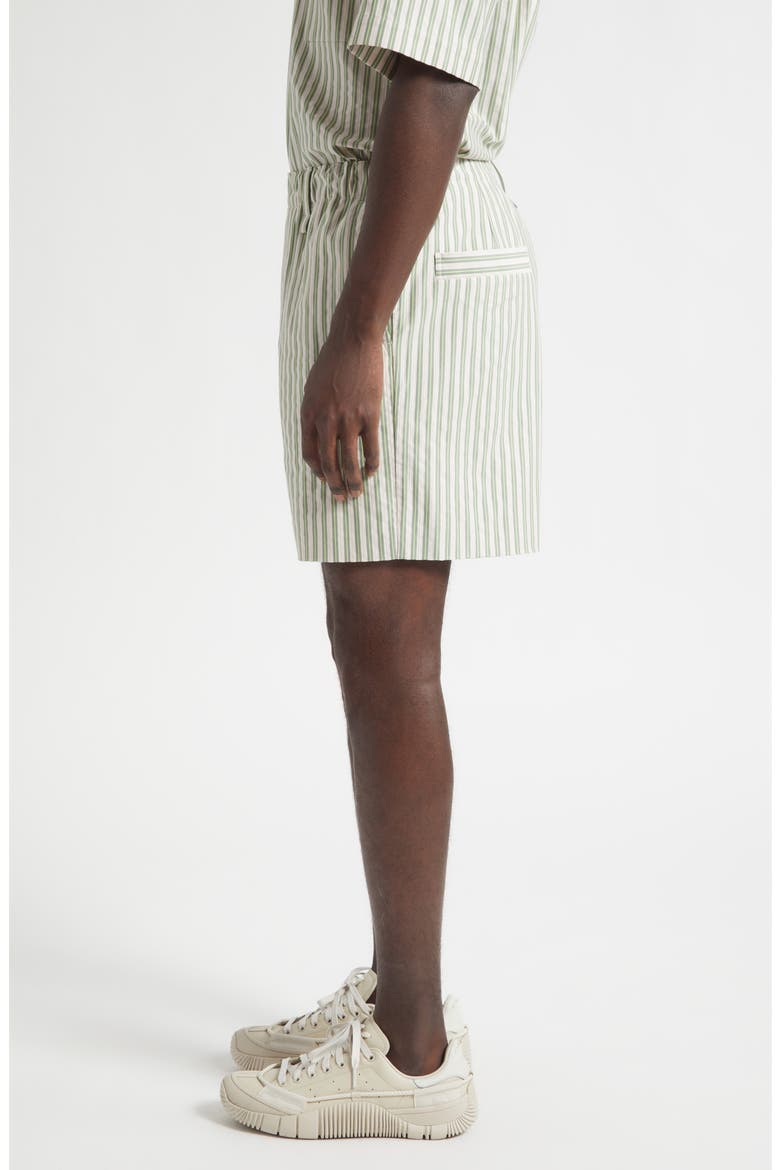 Stripe Cotton Dobby Shorts, Alternate, color, GREEN