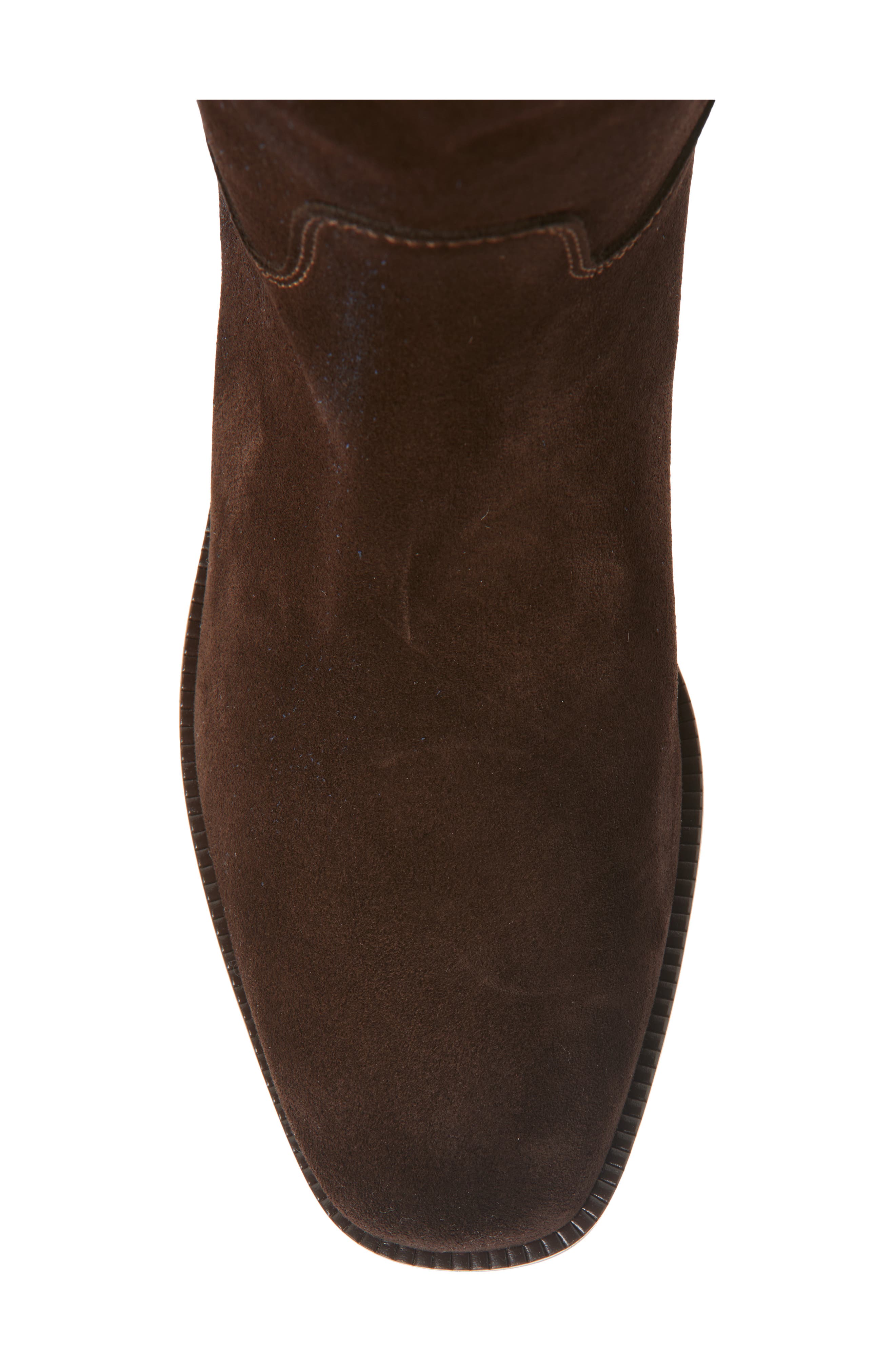 La Canadienne Segal City Dry<sup>™</sup> Waterproof Tall Boot, Alternate, color, Brunette
