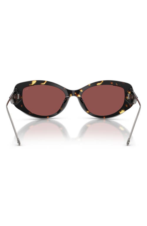 Diesel ® Geck-d 54mm Oval Sunglasses In Havana/dark Violet