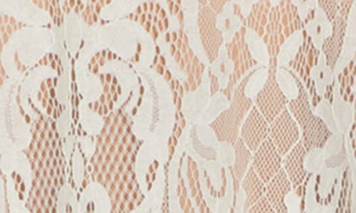 Tash And Sophie Quarter Wide Sleeve Lace Dress In Ivory/nude