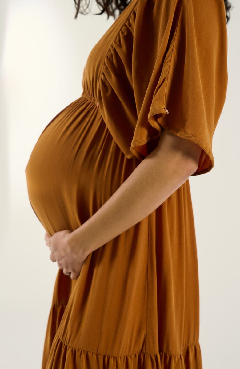 Cache Coeur Claudette Maternity maxi dress, Alternate, color, Camel