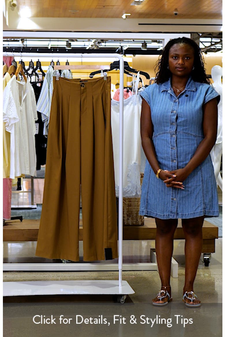 Pleated Wide Leg Pants video