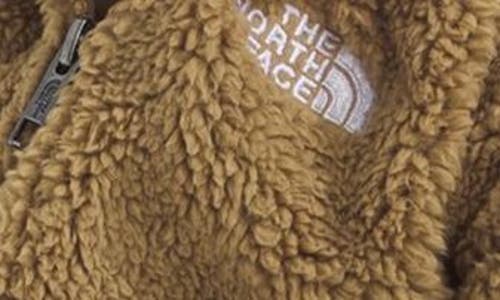 The North Face Kids' Campshire Ears Fleece Zip Hoodie In Brown