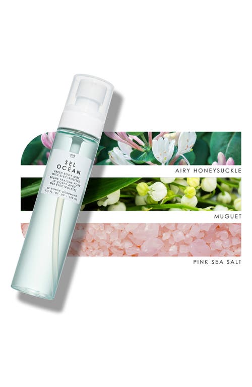 Le Monde Gourmand Sel Océan Fresh Body Mist In Transparent
