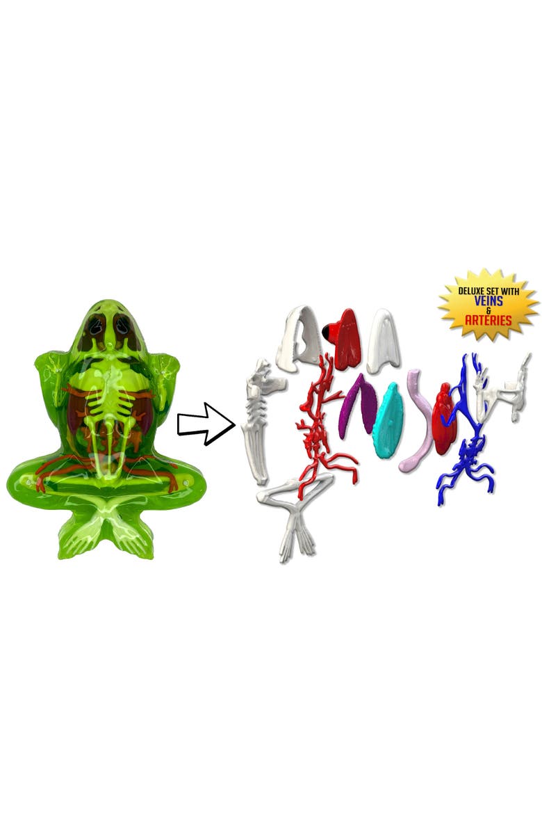Dissect-It Deluxe Super Frog Lab, Kids, Alternate, color, Multicolored