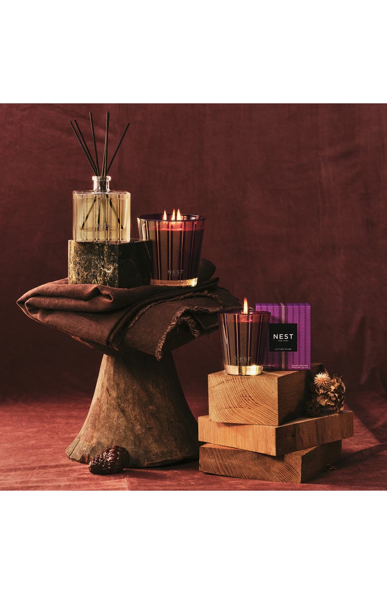 NEST New York Autumn Plum Reed Diffuser, Alternate, color,