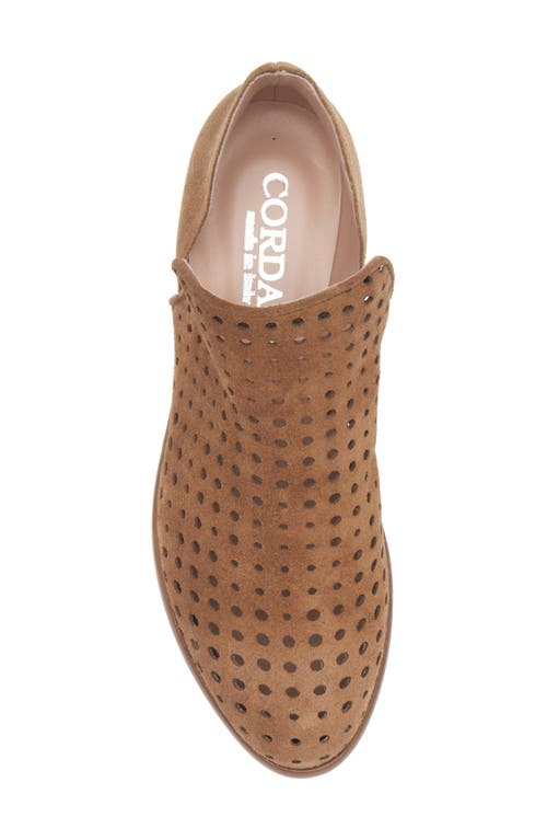 Cordani Burk Laser Bootie In Brown