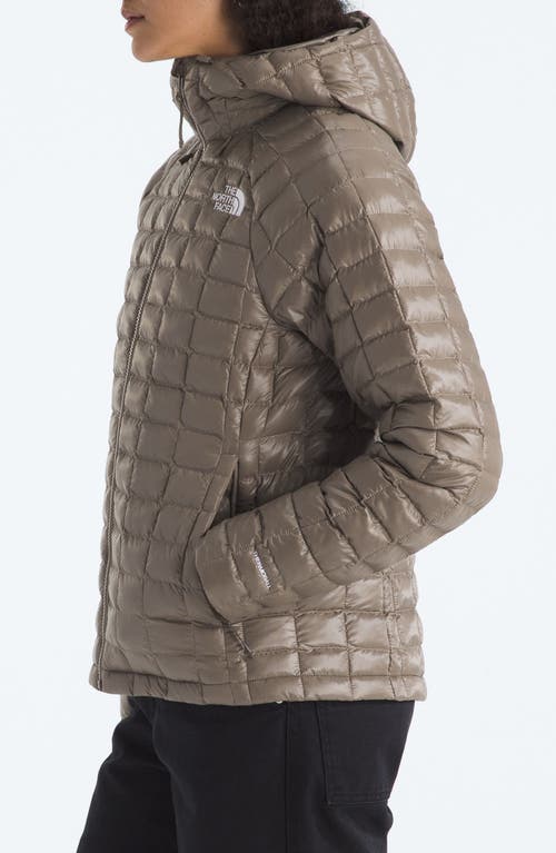 The North Face Thermoball Hooded Jacket In Brown
