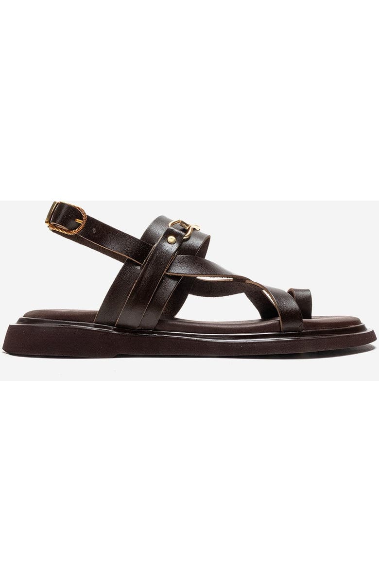 Forever & Always Shoes Fabiana Leather Thong Sandal, Alternate, color, Brown