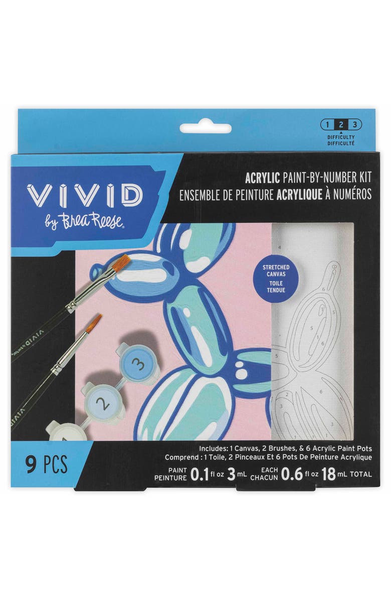 Brea Reese Vivid Acrylic Mini Paint By Numbers, Balloon Dog, 6 x 6 Inch Canvas, Main, color, Multicolored