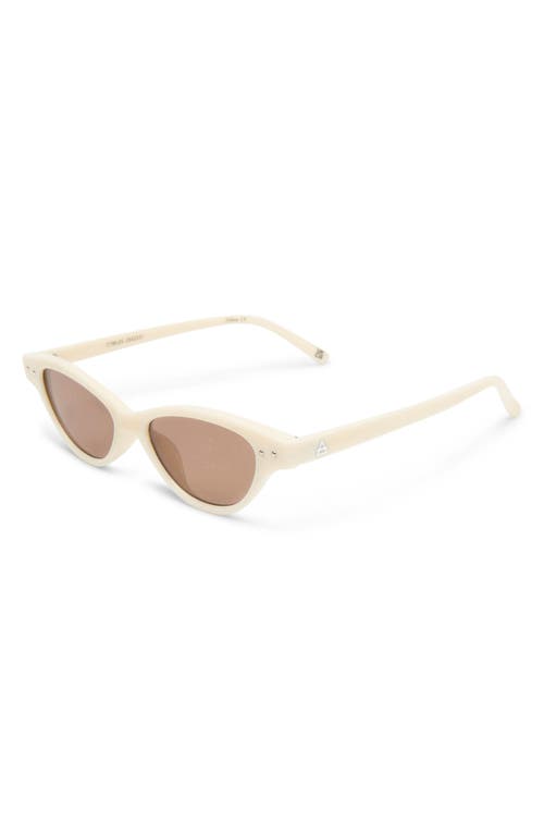 Aire Cybeles 49mm Cat Eye Sunglasses In Ivory/hazel Tint