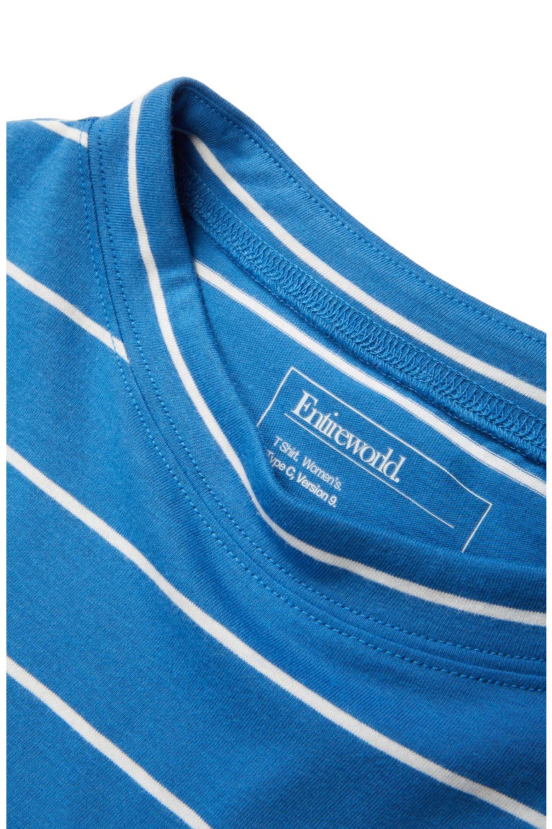 Type C Version 9 Stripe Long Sleeve Tee (Nordstrom Exclusive), Alternate, color, BLUE WHITE