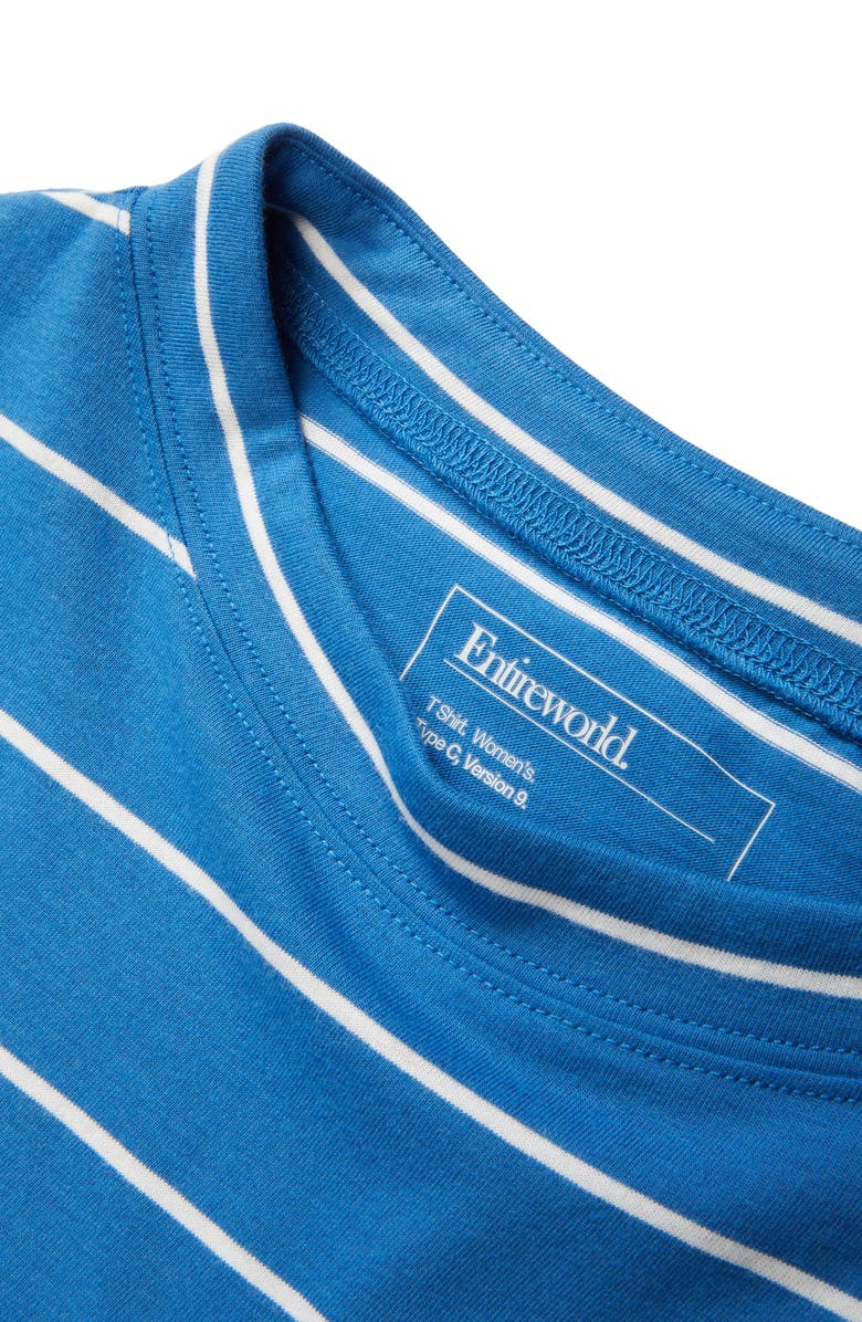 Entireworld Type C Version 9 Stripe Long Sleeve Tee, Alternate, color, 