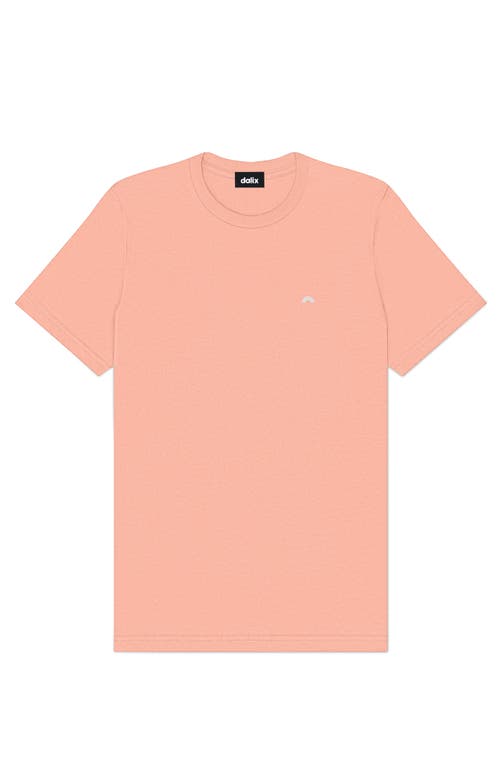 Dalix Mens Lil Rainbow Lightweight Jersey Tee